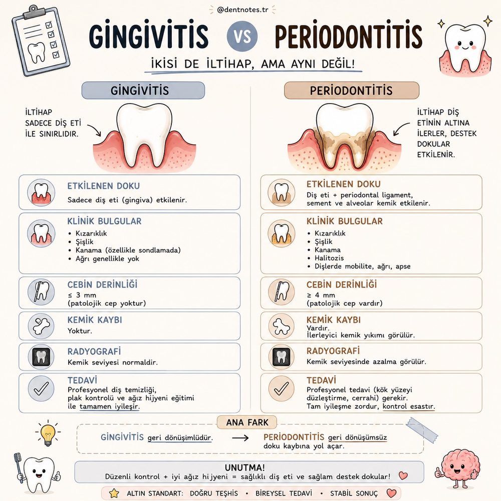 Gingivitis ve periodontitis karşılaştırması